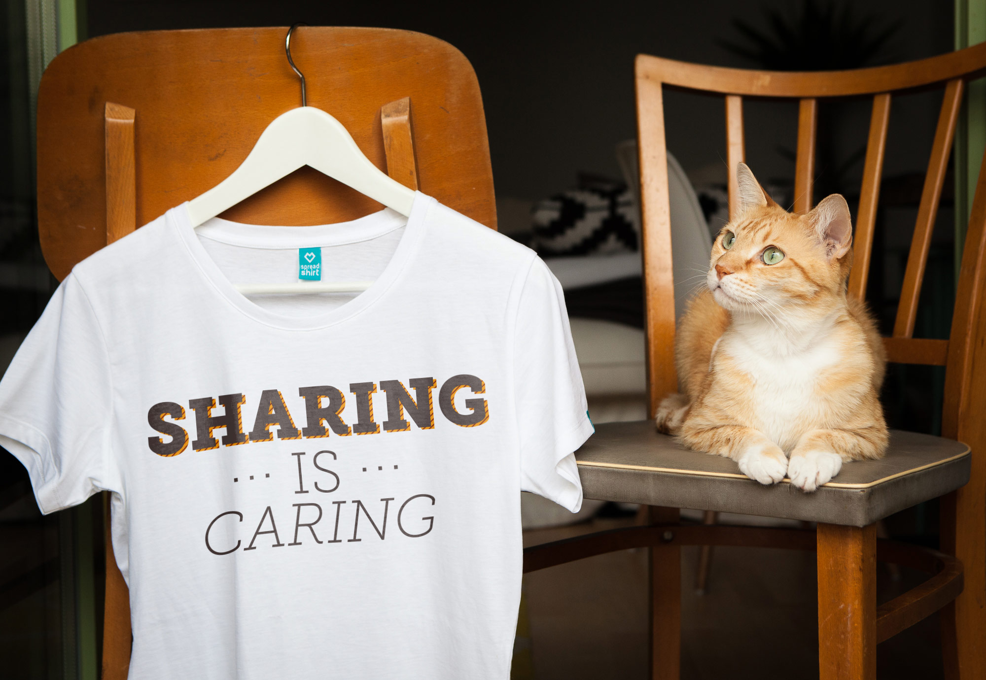 Sharing Tool Animation