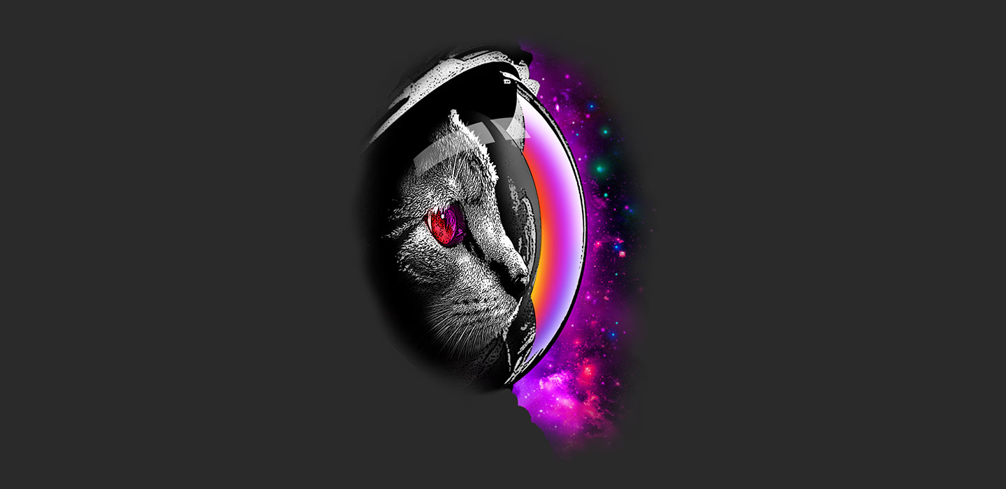 blog_catday_spacecat_de