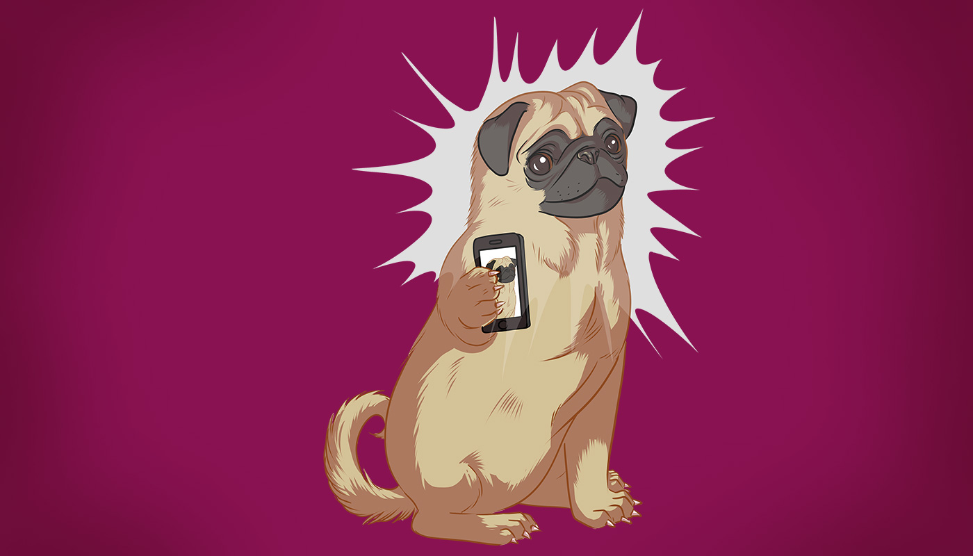 blog_aotm_designs_pug